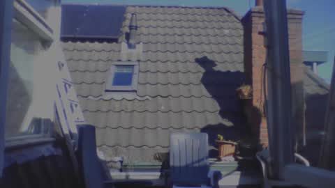 royalpapi12 online show from April 1, 2026, 1:41 pm