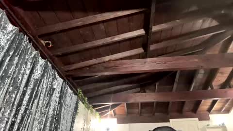 Snapshot of rp30 chatting on January 19, 2026, 1:15 pm Richhancocc online show from January 19, 2026, 1:15 pm