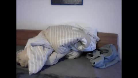 rudolf28 online show from April 1, 2026, 11:44 am