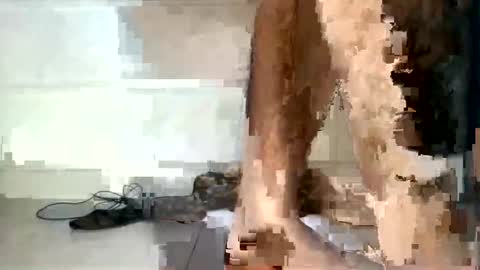 tareq online show from December 5, 2024, 6:33 pm