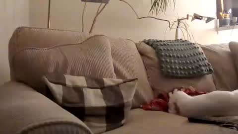 Snapshot of rustyx22 chatting on January 31, 2025, 3:52 am Rusty online show from January 31, 2025, 3:52 am