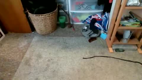 s_t_u_d_420 online show from April 16, 2026, 9:39 pm