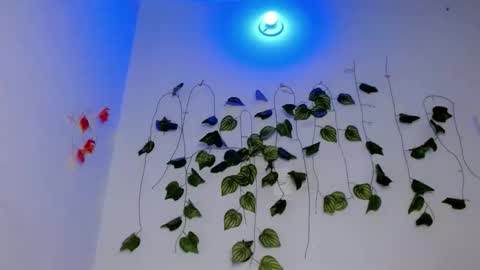 SABRI online show from April 17, 2026, 7:17 pm