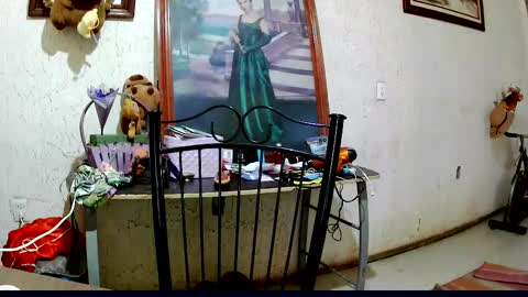 Snapshot of sailor_ruby7 chatting on October 2, 2025, 9:11 pm ruby  chocoholic cakeholic coffeeholic cookieholic online show from October 2, 2025, 9:11 pm