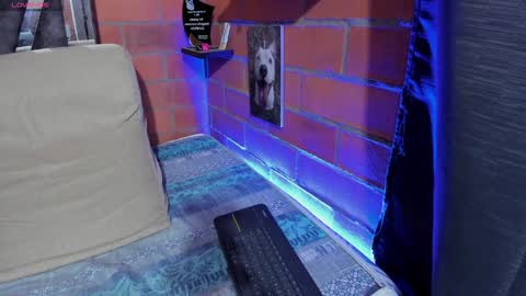 sainix_ online show from December 9, 2024, 11:56 pm