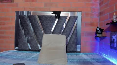 sainix_ online show from February 26, 2025, 2:26 am