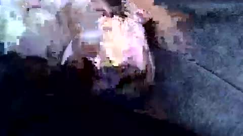 Snapshot of sam122227 chatting on February 3, 2025, 9:08 am sam122227 online show from February 3, 2025, 9:08 am