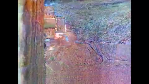 sam5554401727 online show from April 26, 2026, 8:28 pm