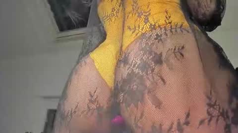 Samar Layali online show from January 21, 2025, 5:30 pm