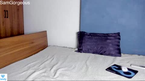 Snapshot of samgorgeous chatting on December 3, 2024, 10:50 am Fansly - Top4fans online show from December 3, 2024, 10:50 am