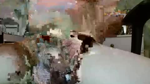 Snapshot of sammalamadingdong chatting on June 2, 2026, 8:44 pm sammalamadingdong online show from June 2, 2026, 8:44 pm