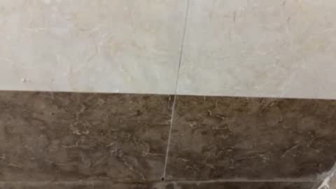 samnivin online show from November 1, 2025, 5:04 pm