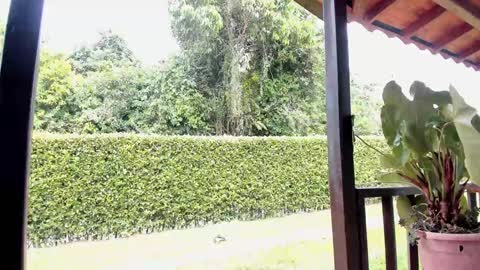 Snapshot of samuel_obrian chatting on December 12, 2024, 6:42 pm Samuel online show from December 12, 2024, 6:42 pm