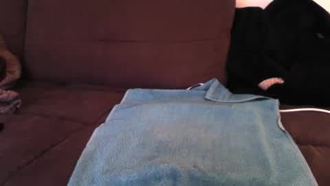 samy1310 online show from April 20, 2026, 9:01 am