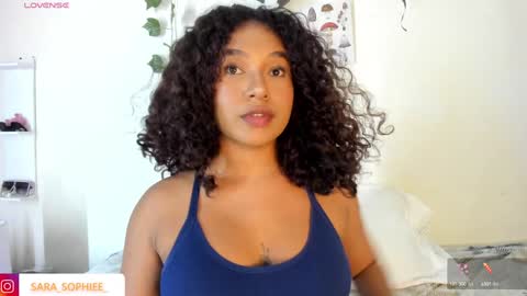 Snapshot of sara_sophiee chatting on December 14, 2024, 2:12 am sara sofia online show from December 14, 2024, 2:12 am