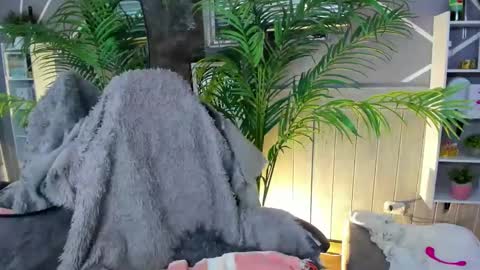 Snapshot of saraandsofi02 chatting on December 31, 2024, 9:42 am sofia gomez420 online show from December 31, 2024, 9:42 am