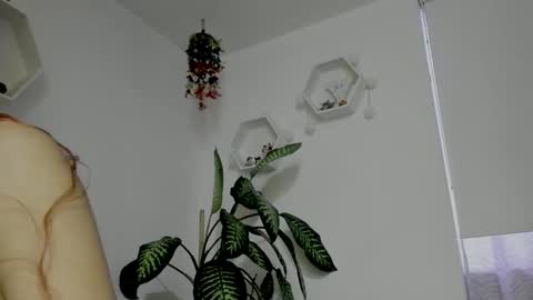 Saray  online show from February 5, 2026, 11:20 pm