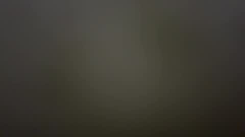 Snapshot of sarcosuchus chatting on February 1, 2026, 4:38 pm TeaseHisDick online show from February 1, 2026, 4:38 pm