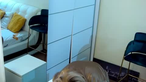 Sasha online show from July 13, 2026, 5:49 pm
