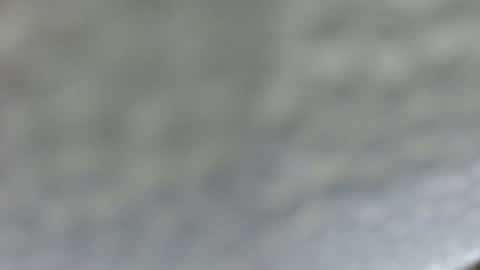 Snapshot of sassygirl_elliexx chatting on June 15, 2026, 6:48 am sassygirl_elliexx online show from June 15, 2026, 6:48 am