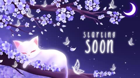 Snapshot of sassykittyn chatting on January 3, 2025, 6:11 am Sassy Sami Kittyn online show from January 3, 2025, 6:11 am