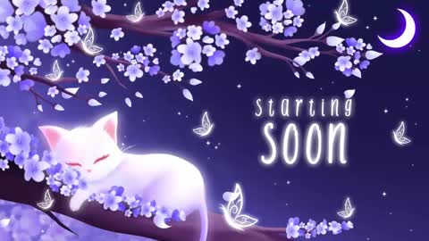 Sassy Sami Kittyn online show from November 4, 2025, 6:23 am