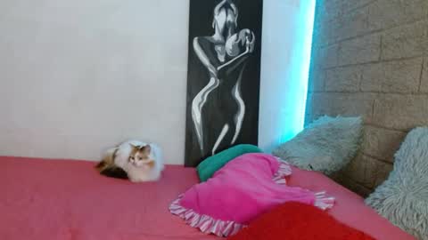 Snapshot of sativa_29 chatting on December 13, 2024, 4:05 pm Sativa online show from December 13, 2024, 4:05 pm