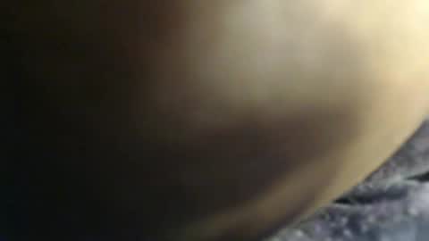 Snapshot of sauce_pety chatting on February 3, 2026, 7:41 pm pety online show from February 3, 2026, 7:41 pm