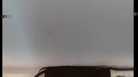 scarlet378580 online show from April 18, 2026, 1:48 pm