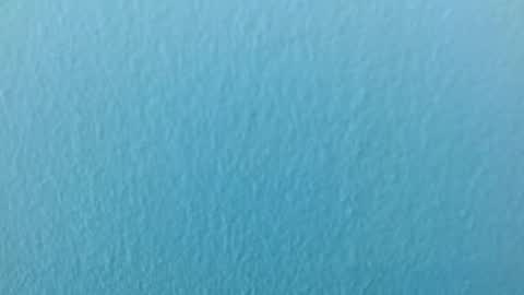 scarlet771776 online show from November 29, 2025, 8:12 pm