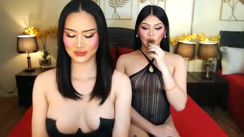 Scarlet online show from March 17, 2026, 8:17 am