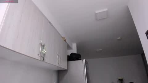 ScarletKent online show from February 10, 2026, 1:53 am