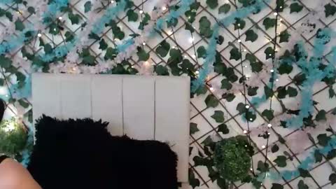 Snapshot of sccarlettjonnes chatting on January 17, 2026, 10:42 am SCARLET online show from January 17, 2026, 10:42 am