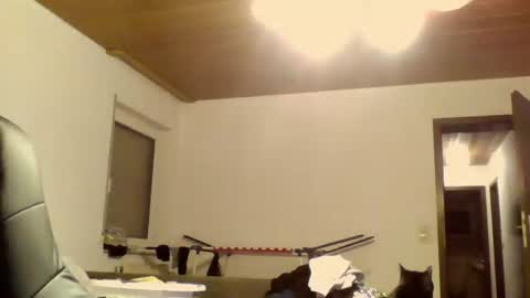 Snapshot of schnibschnab chatting on October 9, 2025, 11:47 pm schnibschnab online show from October 9, 2025, 11:47 pm