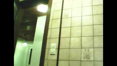 Snapshot of schnibschnab chatting on November 30, 2025, 8:46 pm schnibschnab online show from November 30, 2025, 8:46 pm