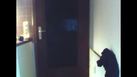 Snapshot of schnibschnab chatting on February 27, 2026, 2:11 am schnibschnab online show from February 27, 2026, 2:11 am