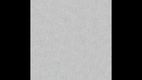 Scolw  online show from December 17, 2025, 12:00 pm