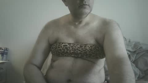 Snapshot of scottforfuhn chatting on January 6, 2025, 5:06 pm scottforfuhn online show from January 6, 2025, 5:06 pm