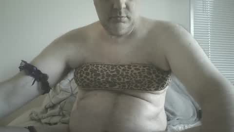 Snapshot of scottforfuhn chatting on February 18, 2025, 3:43 pm scottforfuhn online show from February 18, 2025, 3:43 pm