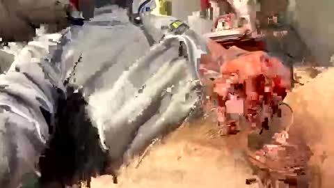 scottj603603 online show from February 18, 2026, 6:59 pm