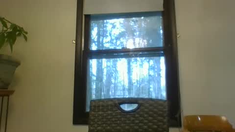 scottpbi52 online show from March 5, 2025, 1:17 pm