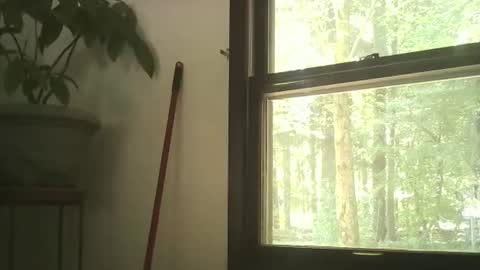 scottpbi52 online show from September 28, 2025, 5:29 pm