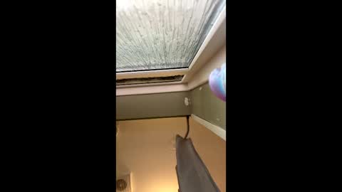 scottyc48 online show from March 27, 2026, 2:50 pm