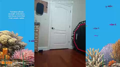 Snapshot of scrubbyluv chatting on February 26, 2026, 7:07 am ScrubbyLuv online show from February 26, 2026, 7:07 am