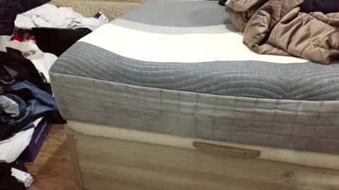 Snapshot of scubi007 chatting on November 2, 2025, 10:12 pm scubi007 online show from November 2, 2025, 10:12 pm