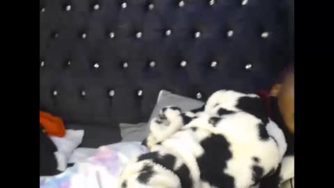 sebatrishaa online show from October 23, 2025, 10:52 pm