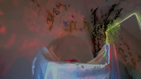 Mali online show from February 10, 2026, 9:57 am