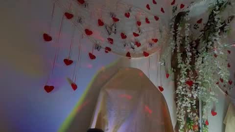 Mali online show from February 20, 2026, 10:05 am