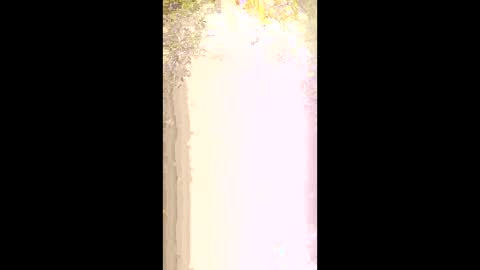 seethru9 online show from March 2, 2026, 1:18 pm