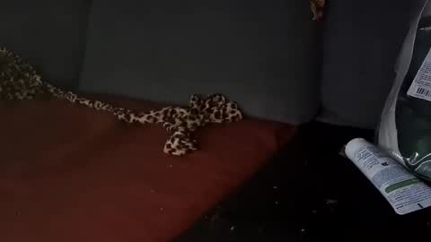 Julian Kinky Bi-guy online show from March 28, 2026, 9:53 am